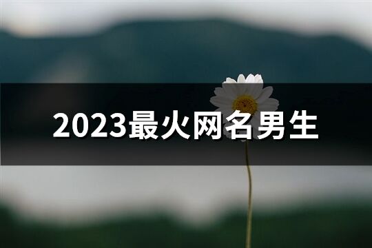 2023最火网名男生(共401个)