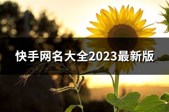 快手网名大全2023最新版(优选442个)