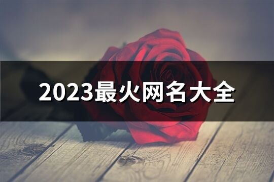 2023最火网名大全(优选988个)