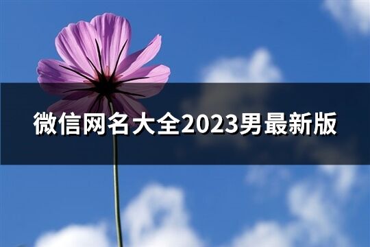 微信网名大全2023男最新版(精选1071个)