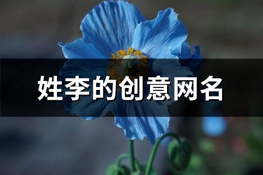 姓李的创意网名(130个)