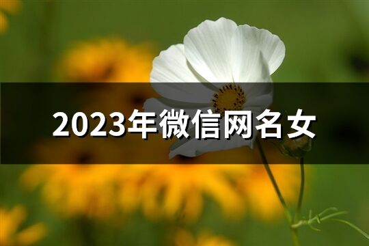 2023年微信网名女(1745个)