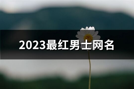 2023最红男士网名(优选522个)