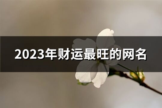 2023年财运最旺的网名(共442个)