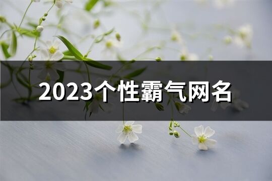 2023个性霸气网名(共852个)