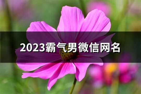 2023霸气男微信网名(优选1085个)