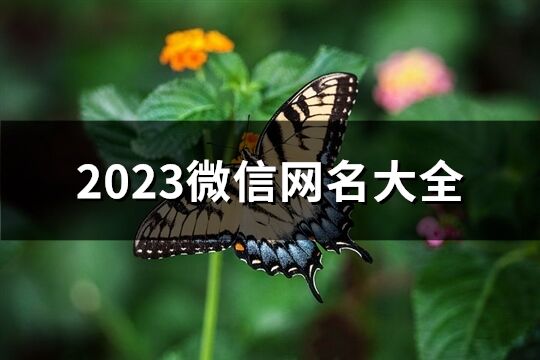 2023微信网名大全(1062个)