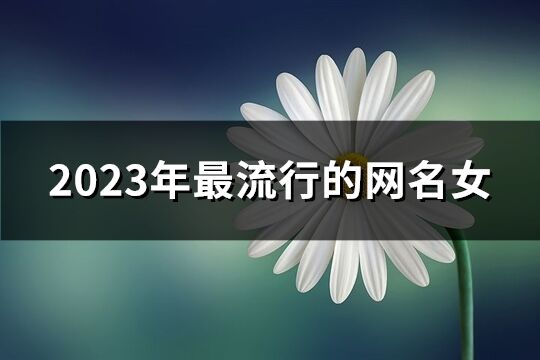 2023年最流行的网名女(精选1239个)