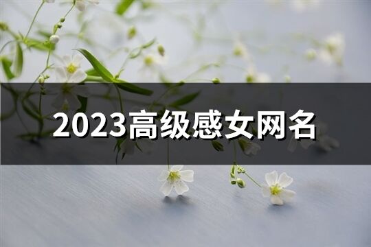 2023高级感女网名(426个)