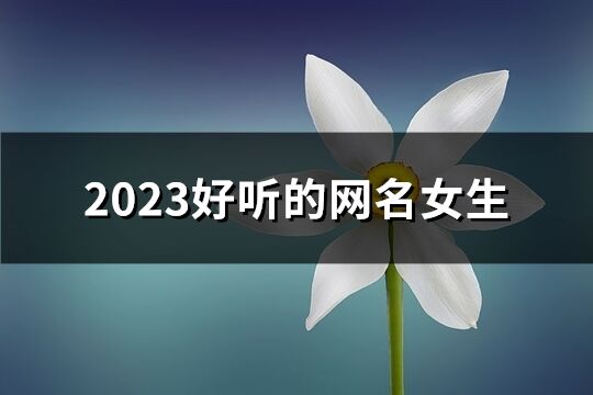 2023好听的网名女生(优选713个)