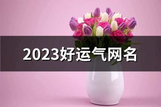 2023好运气网名(优选1200个)