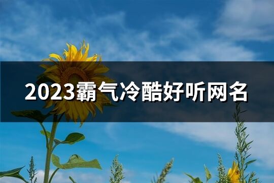 2023霸气冷酷好听网名(438个)