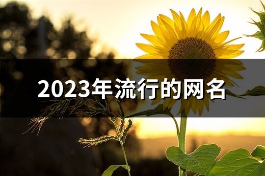 2023年流行的网名(1331个)