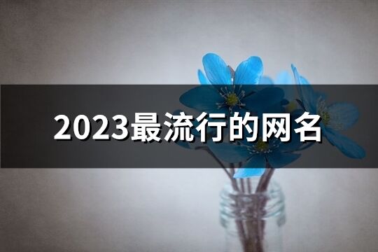 2023最流行的网名(1040个)