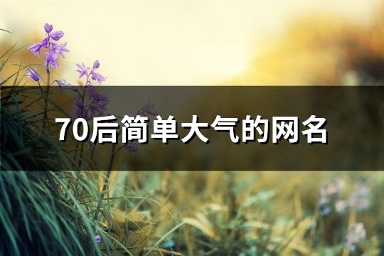 70后简单大气的网名(367个)