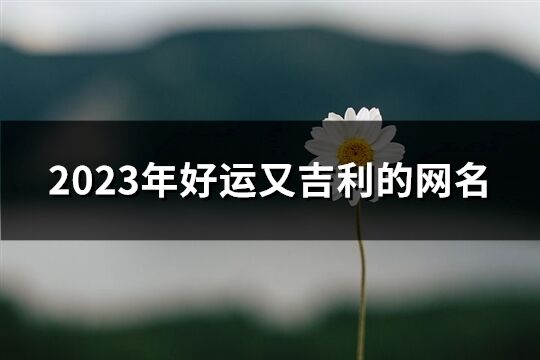 2023年好运又吉利的网名(1263个)