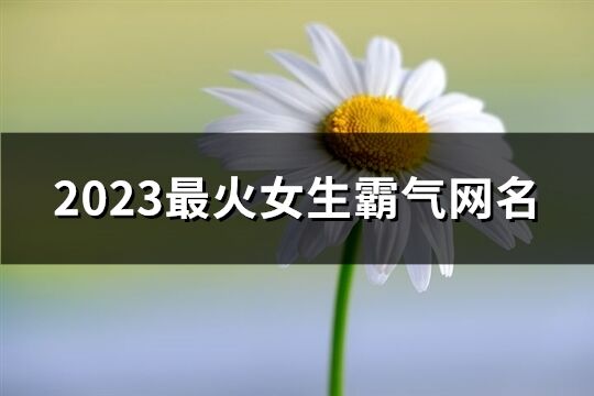 2023最火女生霸气网名(共968个)