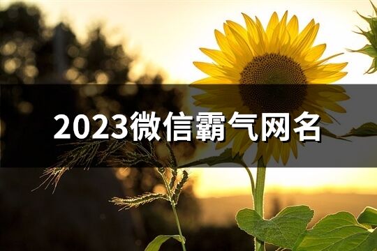 2023微信霸气网名(643个)