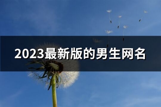 2023最新版的男生网名(1057个)