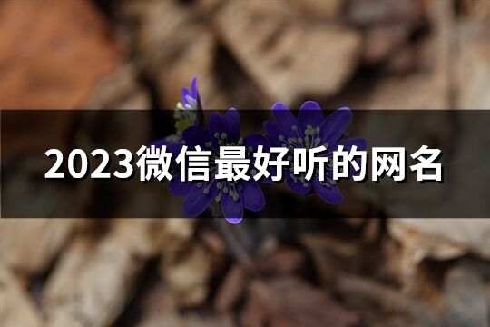 2023微信最好听的网名(优选852个)