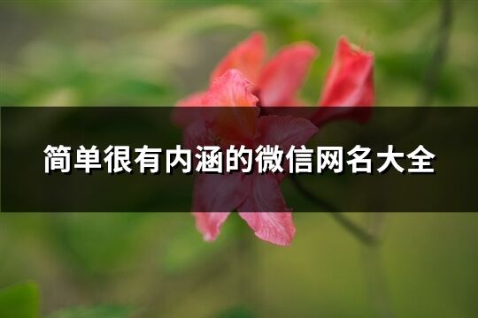 简单很有内涵的微信网名大全(优选389个)