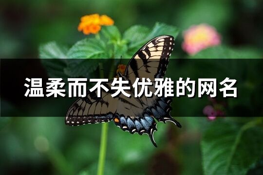 温柔而不失优雅的网名(精选295个)