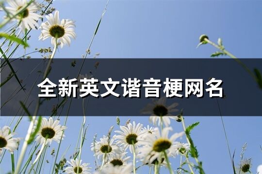 全新英文谐音梗网名(优选40个)