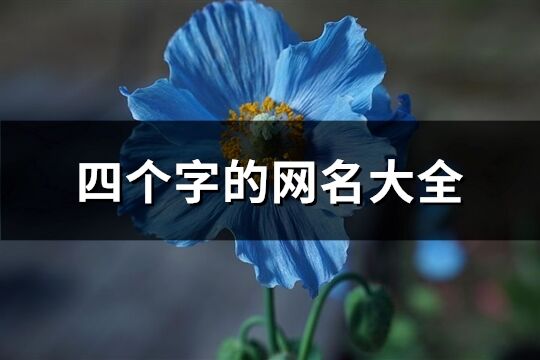 四个字的网名大全(精选1671个)