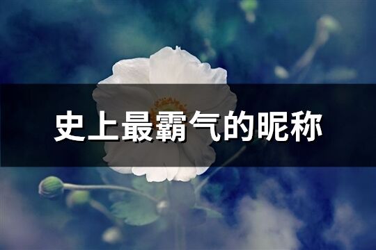 史上最霸气的昵称(精选589个)