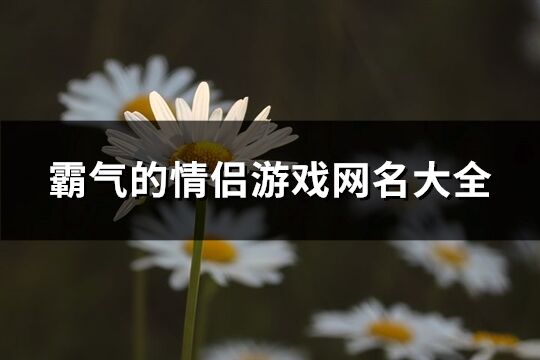 霸气的游戏名字吃鸡