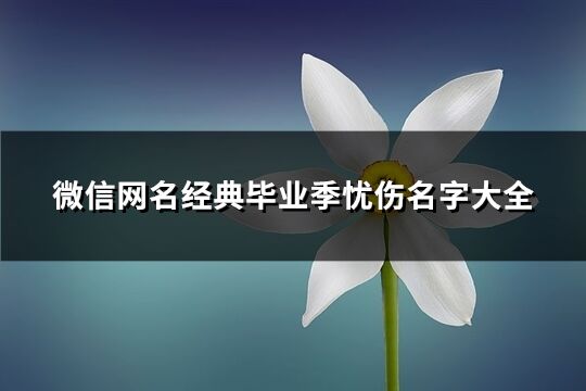 微信网名经典毕业季忧伤名字大全(共182个)