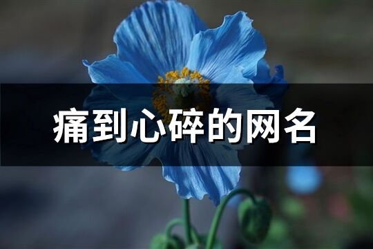 痛到心碎的网名(优选473个)