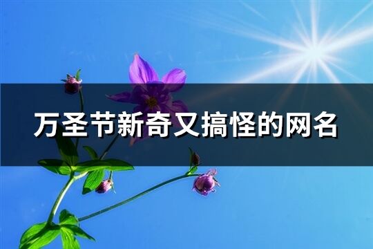 万圣节新奇又搞怪的网名(140个)