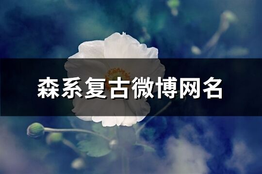 森系复古微博网名(134个)