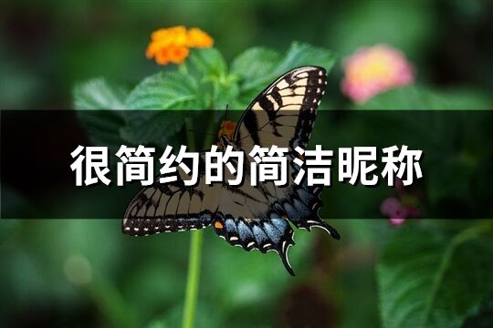 很简约的简洁昵称(466个)