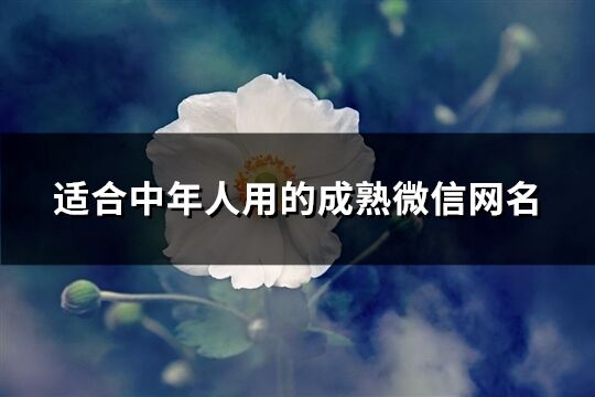 适合中年人用的成熟微信网名(413个)