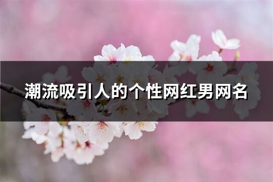 潮流吸引人的个性网红男网名(优选367个)