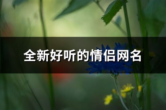 全新好听的情侣网名(精选186个)