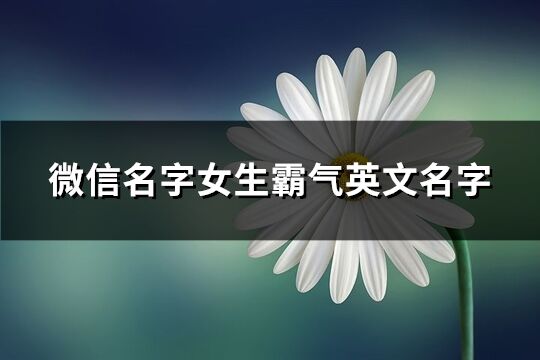 微信名字女生霸气英文名字(优选109个)