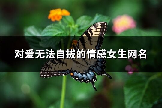 对爱无法自拔的情感女生网名(精选132个)