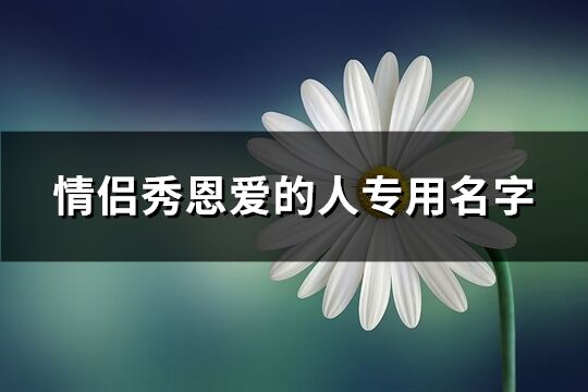 情侣秀恩爱的人专用名字(601个)