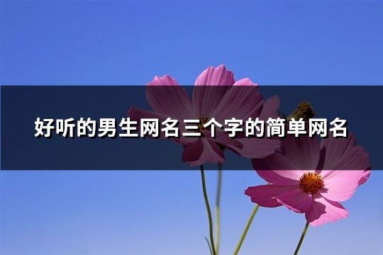 好听的男生网名三个字的简单网名(共144个)