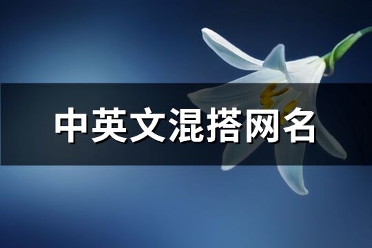 中英文混搭网名(优选218个)