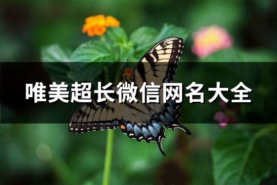 唯美超长微信网名大全(优选340个)