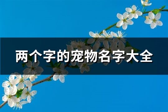 两个字的宠物名字大全(优选326个)