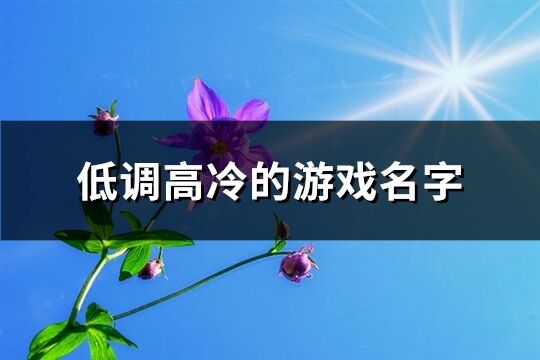 低调高冷的游戏名字(优选484个)