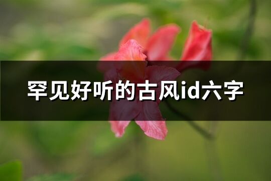 罕见好听的古风id六字(63个)