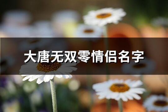 大唐无双零情侣名字(精选60个)