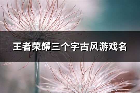 王者荣耀三个字古风游戏名(454个)