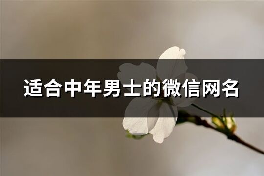 适合中年男士的微信网名(共301个)